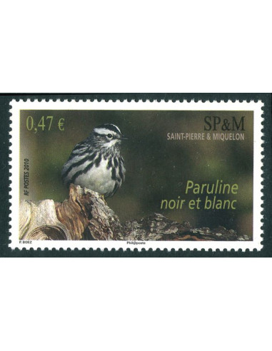 St-Pierre-et-Miquelon 972