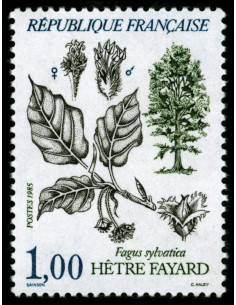 France 2384