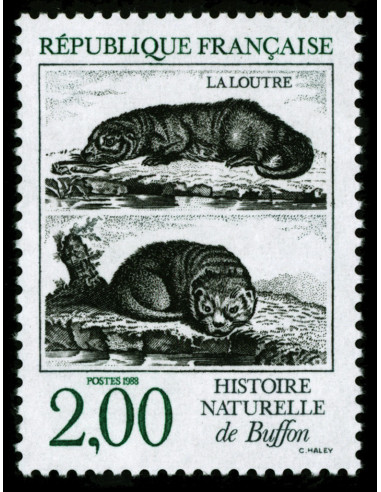 France 2539